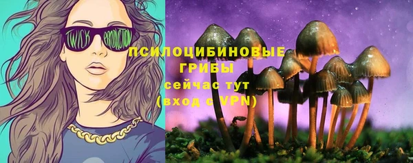 героин Бородино