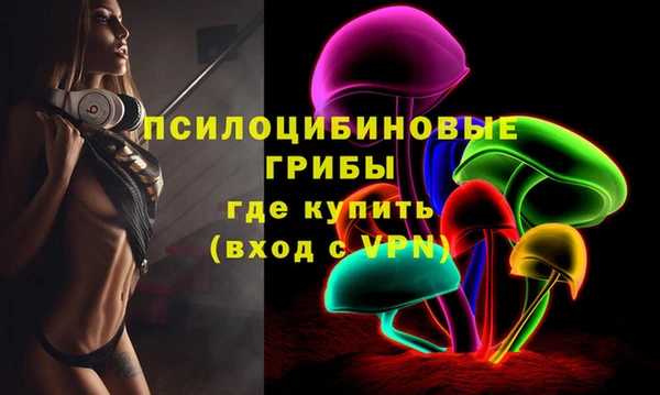 герыч Богородск