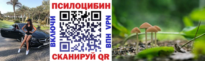 Купить закладки  Белореченск  Псилоцибиновые грибы мухоморы 